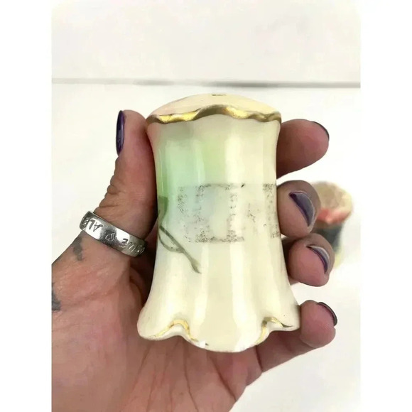 VTG Rosenthal Madeleine Bavarian Porcelain Salt and Pepper Shakers Roses Grapes - Picture 11 of 11